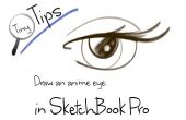 Kleine Tipps: Zeichnen Sie ein Anime Auge in SketchBook Pro