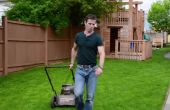 Vier einfache Tipps, die Ihren Rasenmäher pflegen