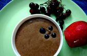 Schokolade griechischen Joghurt-Frucht-Dip
