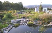 Garten-Stream - Build eines Baches oder Creek / natürlichen filter für Teich