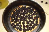 Essen, Invasive Arten: Himalaya Blackberry Custard Pie