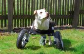 Anpassungsfähige Rollstuhl für Behinderte Hunde