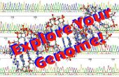 Entdecken Sie Ihr Genom! 