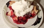 Augenbraue-raising Wild Cranberry Pie
