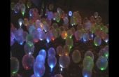 LED Floaties