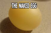 Das nackte Ei: Machen Sie ein gewöhnlicher Ei wackelig, Hüpfburg und matschig mit der wissenschaftlichen Methode! 
