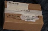 Wie ein Tiger nach Kanada versendet