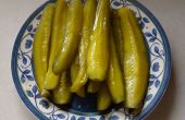 Einfach zu Hot & Sweet Pickle Speere machen