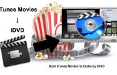 Brennen Sie iTunes Filme auf Festplatten von iDVD (Mac)