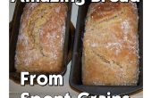 Erstaunliche (und einfach) Brot aus Treber