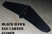 Black Hawk Ei Karton Segelflugzeug