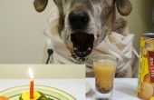 PET-Geburtstag-Kuchen-Rezept mit Bildern
