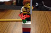 LEGO-Projekt Anweisungen