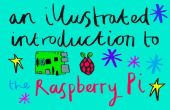 Eine illustrierte Einführung in die Raspberry Pi