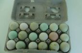 Wie machen hart gekochte Eier in einem Halogen Licht beheizten Ofen