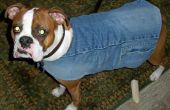 Stellen Sie kostenlos eine gefütterte Hundejacke aus recycelten Jeans und einen Schal! (oder fast) 