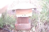 Ein Notfall Bee Hive