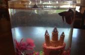 Reinigung A Beta-Fish Tank