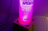 Leuchtende Glaslampe Shard beschichtete Flasche * 16 Farben LED w / Remote *