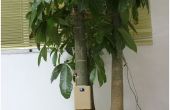 Arduino Smart Home für Umwelt Baum