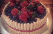 Erdbeeren und Heidelbeeren Kuchen