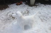 Wie erstelle ich einen Schnee-Hund Skulptur