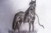 Mein Pferd Zeichnung