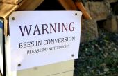 Einheimische Biene Bienenstock