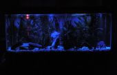 LED Aquarium Mondlicht