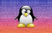 Wartung Ihres Croutons Linux Systems