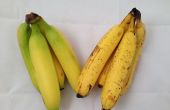 Bananen frisch länger bleiben (Scheiben, auch!) 