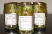 Dill Pickles machen