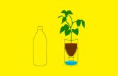 Up-Zyklus Plastikflasche, Pflanzer