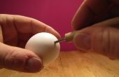 Eiern mit nur einem Loch Ausblasen! 