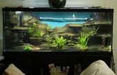 Ein 3D Aquarium Hintergrund