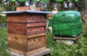 Bienenstock einpacken Cocoon mit Umweltüberwachung