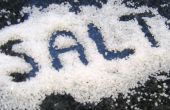 Entschlüsselung der Kunst der Zugabe von Salz