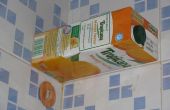 Tetrapak-Mini-Wand-Regal (Juice Carton, Tetra Pack Wiederverwendung)