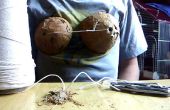 Wie erstelle ich einen Kokosnuss-BH