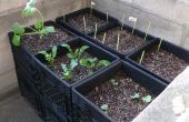 Milch, Kiste "Air-Pot" Urban Gardening Container