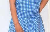 Zauberer von Oz (meine Version Outfit). Dorothy Gale Kleid. 