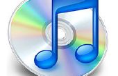 Wie Sie Dateien in iTunes importieren und ändern die Song-Details