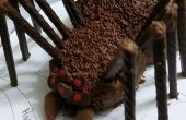 Mini Spider Kuchen