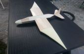 Erstellen Sie Ihre eigenen Balsa Holz Segelflugzeug! 