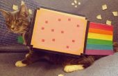 Nyan Cat-Tierkostüm
