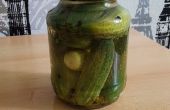 Eingelegte Gurken Dill Pickles