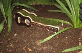 Eine Gitarre für den Garten (Pflanzer)