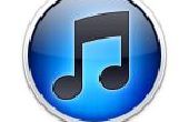 So übertragen Sie große Mengen an Musik mit iTunes