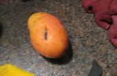 Wie man eine Mango geschnitten dekorativ