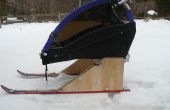 Langlauf-Ski / Schneeschuh Kinderwagen